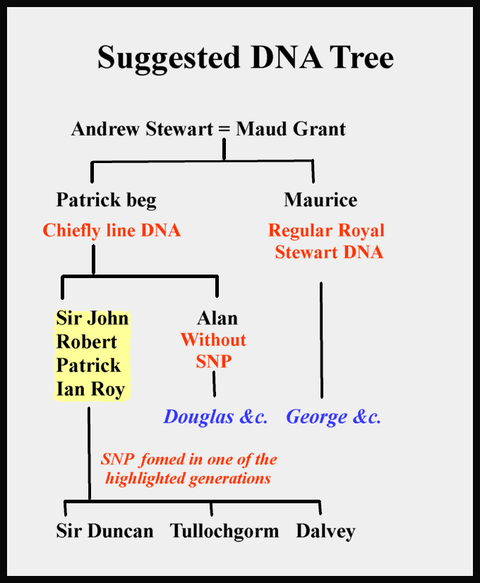 Chart showing a suggested lineage based on DNA evidence
    